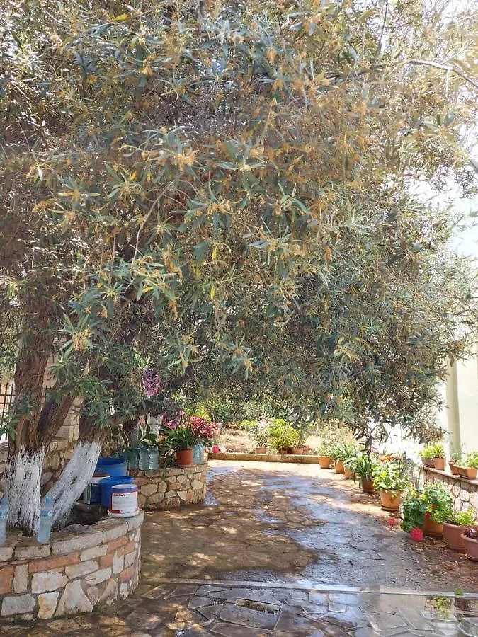 Vila Rexhaj Ksamil Villa